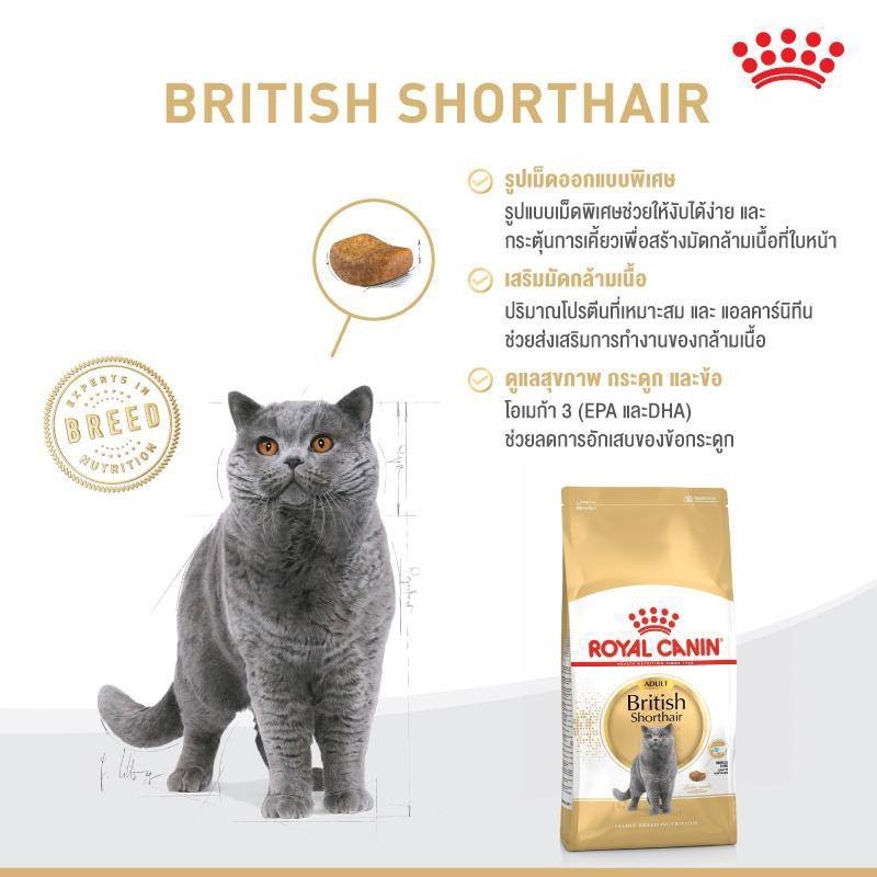 Royal canin adult british 10 kg อาหารแมวชนิดเม็ด แมวพันธุ์บริติช ชอร์ตแฮร์