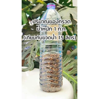กรวดลำธารจีน นำเข้า สีสวย สำหรับตั้งตู้ลำธาร (แบบล้างให้แล้ว+ส่งจากไทย)