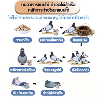 4🕊️เห็นผลชัวร์200% แลนเนท ยาเบื่อนก ยาฆ่านกพิราบ ยาฆ่านก 500g ยานกพิราบ ทำลายอวัยวะภายในตายใน 1วัน แห้งเร็วและไม่มีกลิ่น