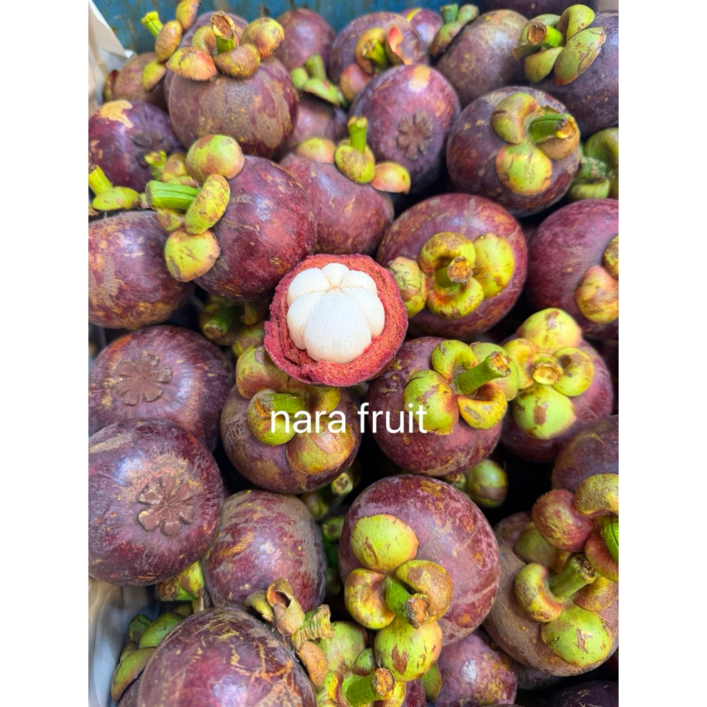 มังคุดสด คละไซส์ คละผิว 1กิโลกรัม ราคาต่อกิโลกรัม เปรี้ยวหวานกำลังดี #พร้อมส่ง
