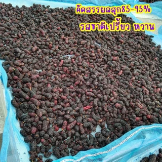 มัลเบอรี่ ลูกหม่อน อบแห้ง 100% ตรา ภูดอย สูตรไม่มีน้ำตาล ไม่ใส่สารกันเสีย ไม่แต่งสี เคี้ยวหนึบหนับ นุ่มลิ้น ไขมันต่ำ