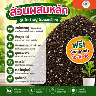 (ยกกระสอบ 5 กิโล) ดินปลูกแคคตัส ไม้อวบน้ำ ดินปลูกกระบองเพชร ผสมสำเร็จพร้อมปลูก เนื้อดินโปร่ง แร่ธาตุสูง (ดินผสมสดใหม่)