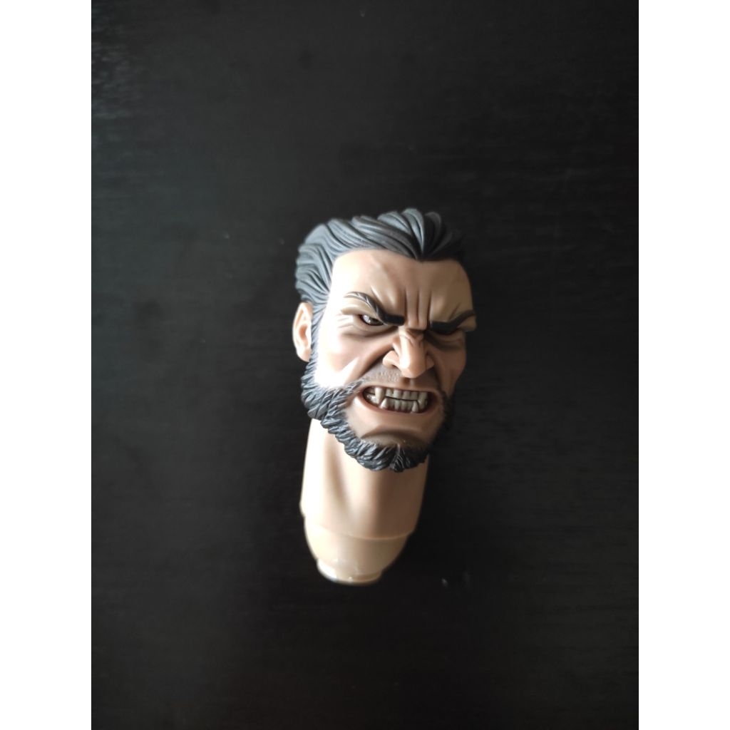 1/6 SCALE FIGURE : HEAD Wolverin origin