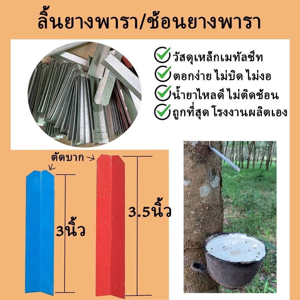 (1กก.)ลิ้นยางพาราตัดมุม ช้อนยางพารา ลิ้นรองน้ำยาง ขนาด 3นิ้ว และ 3.5นิ้ว วัสดุเหล็กเมทัลชีท
