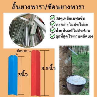 (1กก.)ลิ้นยางพาราตัดมุม ช้อนยางพารา ลิ้นรองน้ำยาง ขนาด 3นิ้ว และ 3.5นิ้ว วัสดุเหล็กเมทัลชีท