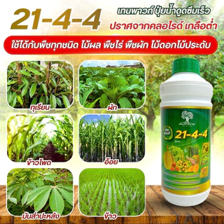 21-4-4 เทนพาวท์ปุ๋ยน้ำสูตรเข้มข้น ขนาด 1 ลิตร เเตกใบอ่อน เร่งต้นโตไว ใบเขียวสมบูรณ์ ฟื้นฟูต้นโทรม ดูดซึมไวละลายน้ำทันที