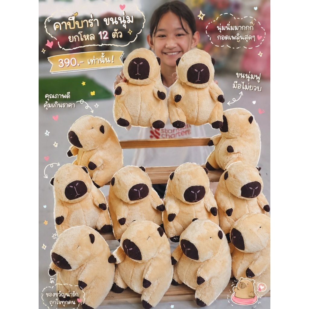 คาปิบาร่า กะปิ🐻ยกโหล12ตัว ใช้แจกเด็ก แจกงานอีเวนท์ แจกวันเด็ก ปีใหม่ ปัจฉิม ของขวัญวันเกิดแต่งห้อง แจกลูกหลาน คาปิบาร่า