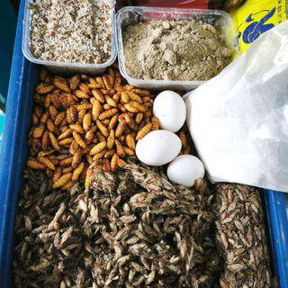 อาหารนกบินหลา สำหรับฟาร์มนก โปรตีนสูงไขมันต่ำ วิตามินครบถ้วน ไม่แต่งกลิ่น ไม่แต่งสี ไม่มีวัตถุกันเสีย