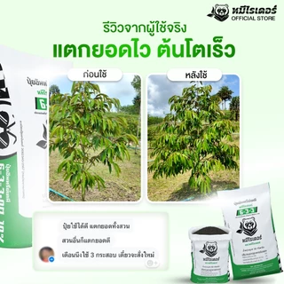 [50kg.] เร่งใบ ฟื้นต้นใหม่ 6-3-3 หมีไรเดอร์ ปุ๋ยอินทรีย์เคมี