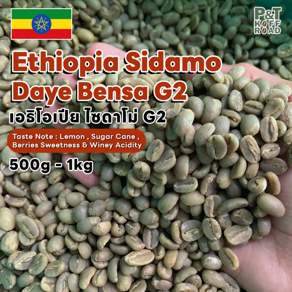 [พร้อมส่ง] สารกาแฟอราบิก้าเอธิโอเปีย Ethiopia Sidamo Daye Bensa G2 500g -1 kg. P&T KoffRoad .