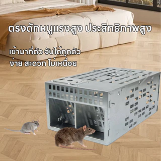 ❌🐀 กับดักหนูต่อเนื่อง กรงดักหนู 2 ประตู ดักหนูได้เยอะ ทนทานแข็งแรง ใช้งานง่าย