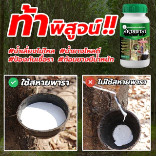 สหายพารา 1 ขวด (500 ml) ทาหน้ายาง เพิ่มน้ำยาง เปลือกนิ่ม กรีดง่าย (ทาได้ 500 ต้น)