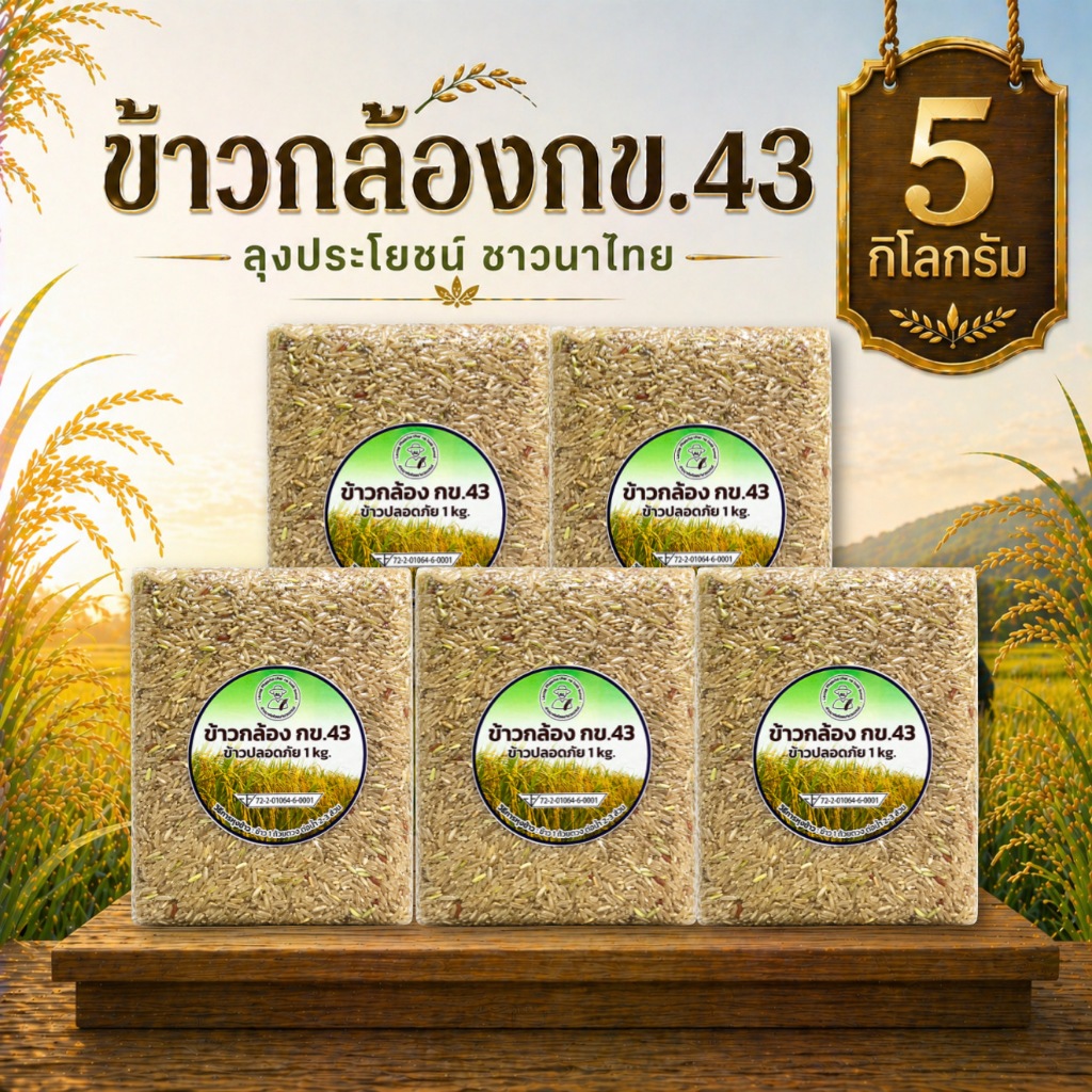 ข้าวกล้องกข.43 5 กิโล จากแปลงนาอินทรีย์