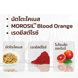 คินน์ นัตโตะ ซื้อ 2 แถม 2 รวม 4 กระปุก KINN (30 แคปซูล/กระปุก)