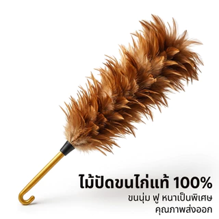 ไม้ปัดฝุ่นขนนก เกรด A ด้ามพลาสติก มีขนาด 70 ซม. 60 ซม. และ 40 ซม. ขนแปรงหนาและฟูและไม่หลุดร่วงง่าย