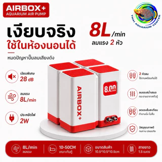 ปั๊มลมเงียบพิเศษ AIRBOX+ เงียบจริง 28dB หลับสบาย ลมแรง 2 หัว (8L/13L/18L) ประหยัดไฟ ใช้ในห้องนอนได้ 💯