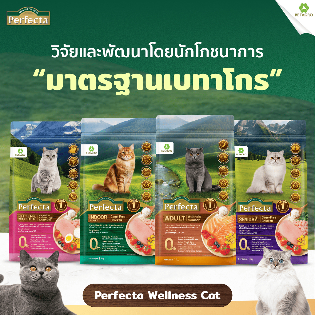 Perfecta Wellness อาหารแมวพรีเมี่ยม 1Kg มีให้เลือก 4สูตร
