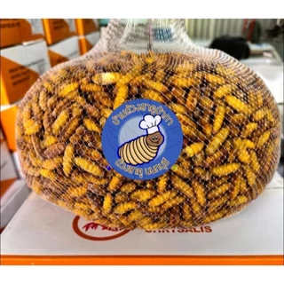 ดักแด้หนอนไหมตัวใหญ่เนื้อแน่นขนาด500กรัม