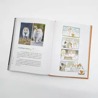 หนังสือปกแข็ง พิมพ์สี “แมวหลวงแห่งกู้กง“ (เล่มเดียวจบ) - Hongsamut