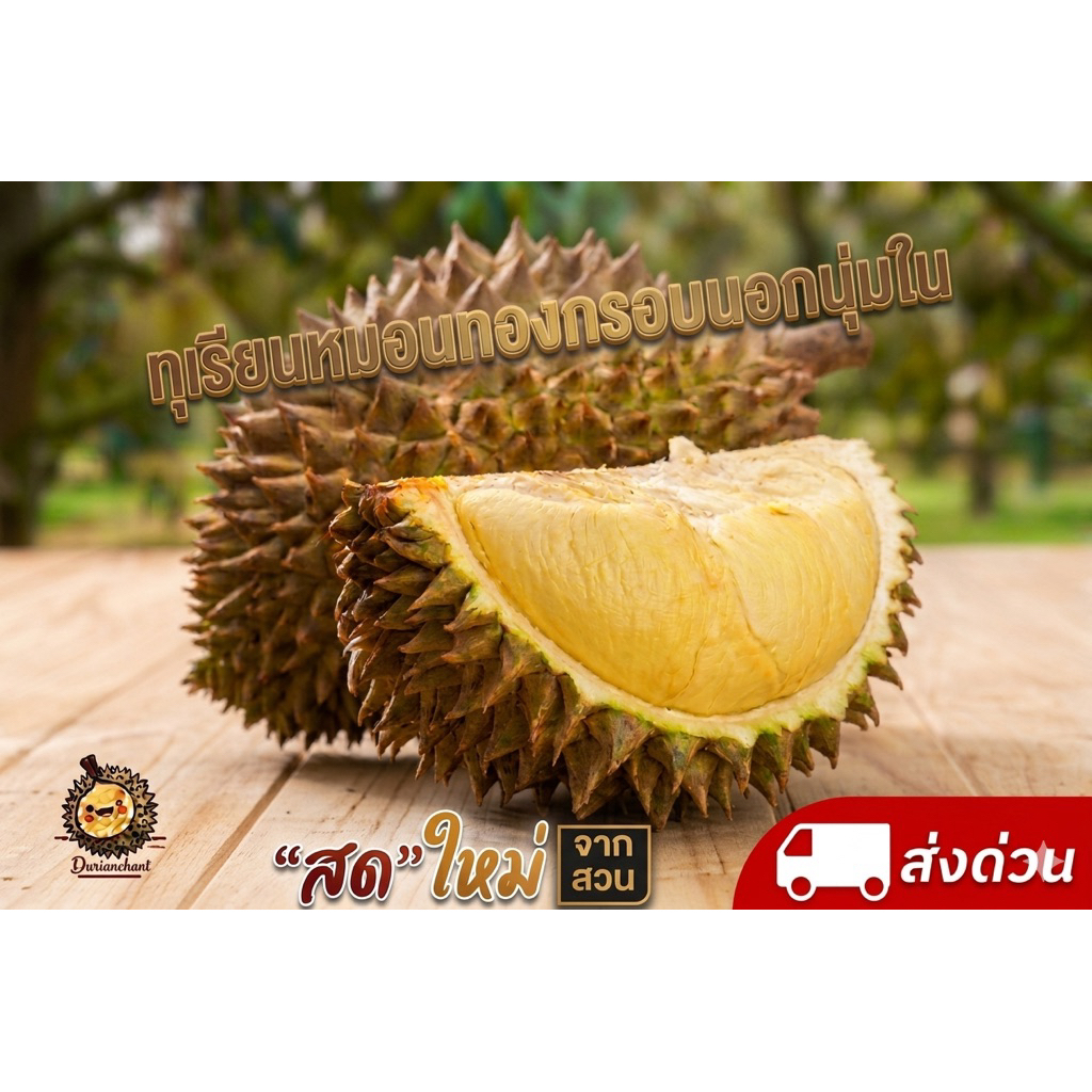ทุเรียนหมอนทองจันทบุรี แก่จัด ตัดใหม่ #กรอบนอกนุ่มใน