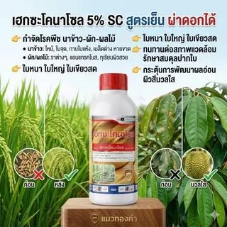 เฮกซะโคนาโซล 1000cc. ตราแมวทองคำ สารป้องกันกำจัดโรคพืช กำจัดโรคใบไหม้ เมล็ดด่าง ใบจุดในกล้วยไม้ แอนแทรคโนสในทุเรียน
