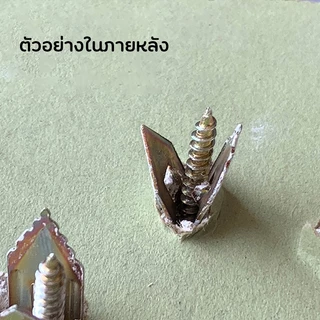 50/100pcs พุกปีกผีเสื้อ สกรู พุกปีกผีเสื้อ ชุดสกรูเกลียวปล่อยแบบขยาย พุกผีเสื้อเหล็ก พุกยิบซั่ม+สกรู Expansion screws