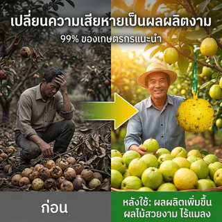 🔥รุ่นอัพเกรด 🔥ได้ผล3ปี🦟ลูกบอลดักแมลง กวาทรงพลัง กันน้ำกันแดด กาวดักแมลงหวี่ ที่ดักแมลงวันทอง กาวดักแมลงวัน ไม่ละลายกาว
