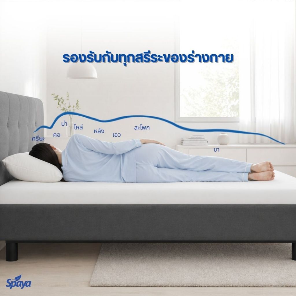 SPAYA Prolatex topper สปาย่า ท็อปเปอร์ ยางพารา หุ้มผ้าคอตต้อนนาโน แผ่นรองที่นอน [ ขนาด 3 / 3.5 / 5 / 6 ฟุต หนา 2 นิ้ว ] ราคา ถูกที่สุด ดีลบีเคเค แกลเลอรีภาพที่ 8