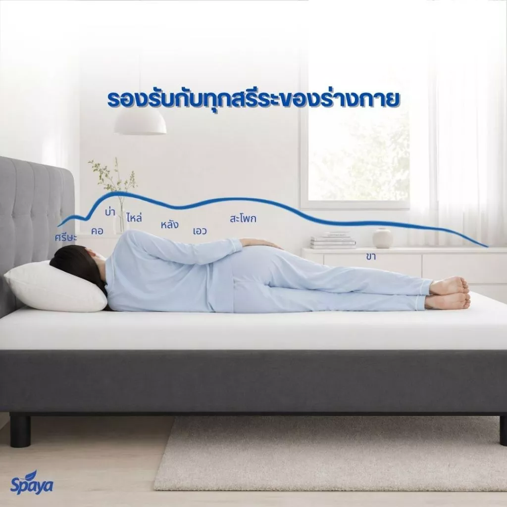 ที่นอนยางพาราเพื่อสุขภาพ SPAYA Microlatex 4 นิ้ว 3.5/5/6 ฟุต thumbnail 10