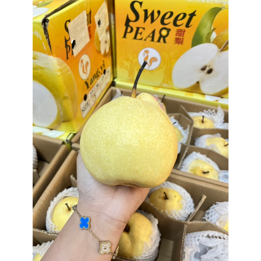 สาลี่น้ำผึ้ง Sweet Pear ยกลัง ราคาส่ง ลดพิเศษ~ หอม หวาน อร่อย ! ไซต์ใหญ่