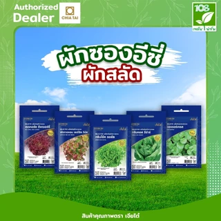 ผักซองอีซี่ ขายส่ง ยกแพ็ค รวมเมล็ดพันธุ์ ผัก ตราเจียไต๋ ราคาถูกสุด (1แพ็ค=10 ซอง)