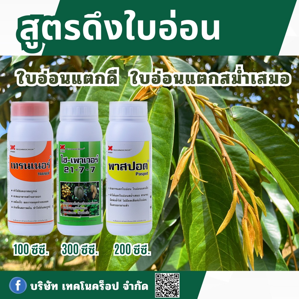 สูตรดึงใบอ่อน เทคโนคร็อป (เทรนเนอร์ 1 ลิตร+ไฮ-เพาเวอร์ 21-7-7 1 ลิตร+พาสปอต 1 ลิตร) ใบอ่อนแตกดี ใบอ่อนแตกสม่ำเสมอ