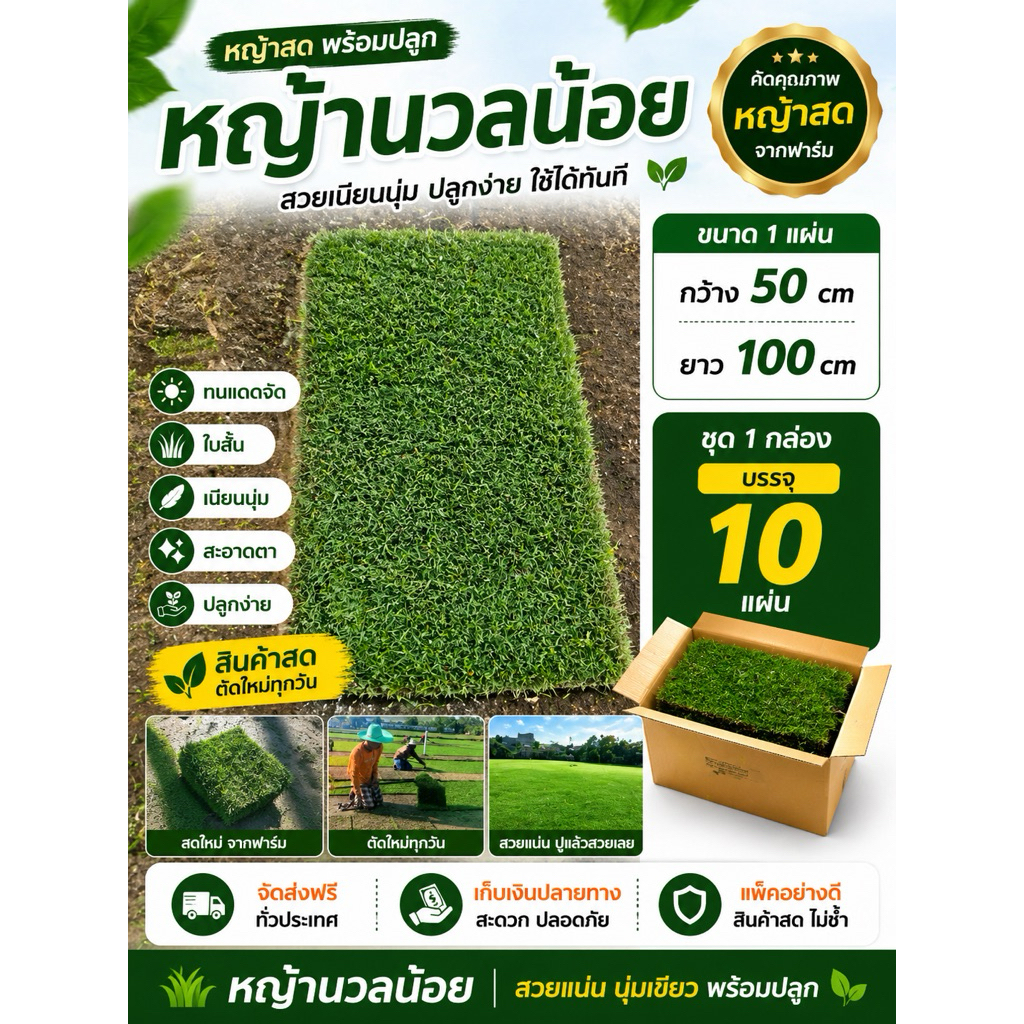 หญ้านวลน้อย ใบเนียน เหมาะกับทำกรีท สนามไดฟ์เลือกใช้นวลน้อย