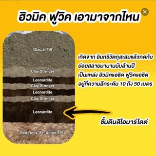 เอ-แบล็ค (A-Black) สารบำรุงพืชสูตรเข้มข้น ฟื้นฟูต้นหลังเก็บเกี่ยว ช่วยแตกราก แตกกอ สำหรับพืชทุกชนิด (ขนาด 1 ลิตร)