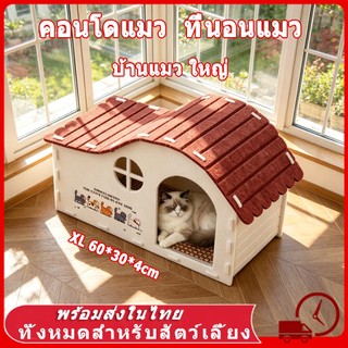 🏠 คอนโดแมว ใหญ่ บ้านแมว ทรงกระบอก ดีไซน์ญี่ปุ่น สไตล์มินิมอล ตึกแมว มีรู ปีนเล่นได้ วัสดุสักหลาด ที่ฝนเล็บแมว