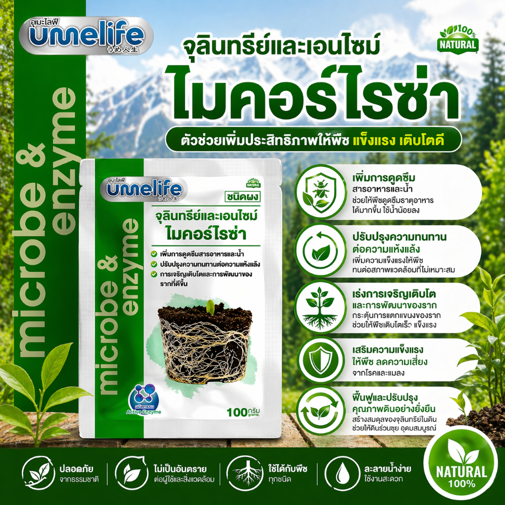 อูเมะไลฟ์ ไมคอร์ไรซ่า 100 กรัม จุลินทรีย์บำรุงราก เร่งการแตกราก รากเยอะ รากแน่น รากแข็งแรง