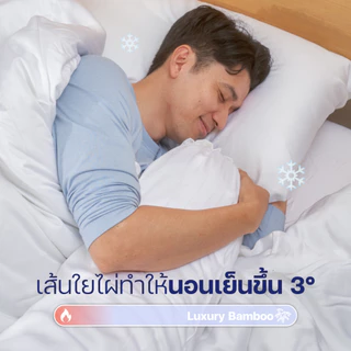 ErgoLab Bamboo Bedding Set - ชุดเครื่องนอนเส้นใยไผ่ออร์แกนิก 100% นุ่มสบาย ถนอมผิว เย็นมากขึ้น 3° ประกันคืนเงินใน 90 วัน