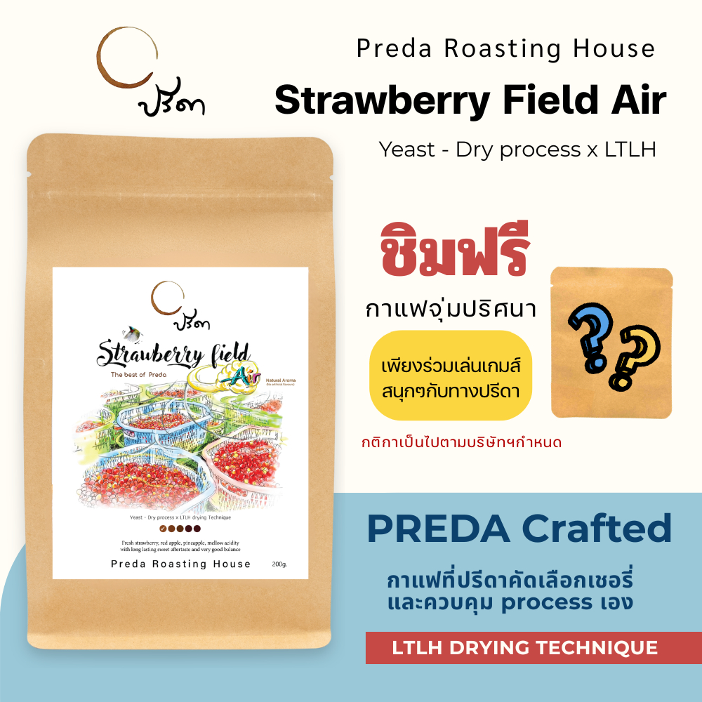 Strawberry field Air (เมล็ดกาแฟ LTLH คั่วอ่อน Light Roast Specialty กาแฟสตรอเบอรี่ รสนุ่มนวล ปรีดา)