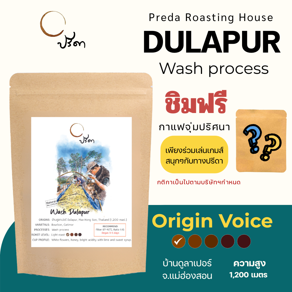 Wash Dulapur วอชดูลาเปอร์ (เมล็ดกาแฟ คั่วอ่อน Light Roast รสชาติสดใส โทน Citrus ปรีดา)