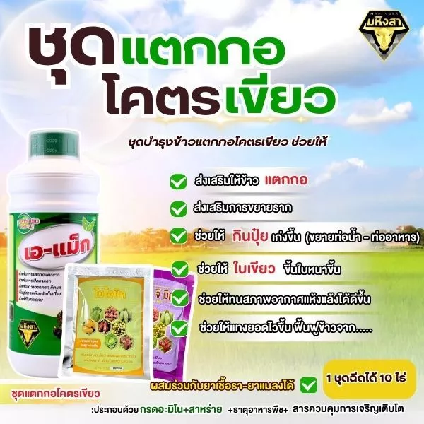 ชุดบำรุงพืช แตกกอข้าวเขียว เอ-แม็ก (1 ลิตร) คู่กับ ไอโอนิค (100 กรัม) เสริมการเจริญเติบโต ฟื้นฟูต้นพืช สำหรับนาข้าวและพื