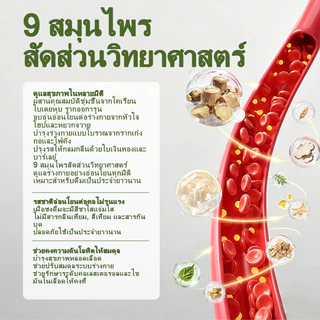 Expce ชาสมุนไพรสูตร 9 ชนิด แบบซองชง 5 กรัม x 12 ซอง