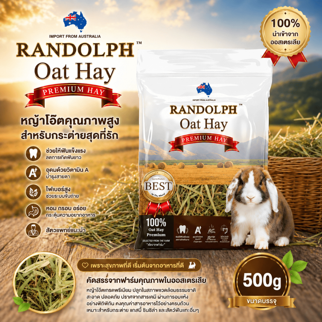 หญ้าโอ๊ต Randolph OAT HAY PREMIUM 500g ตัวฮิตสำหรับสายรักสัตว์เลี้ยง! หอม สด ใหม่ ใยอาหารสูง