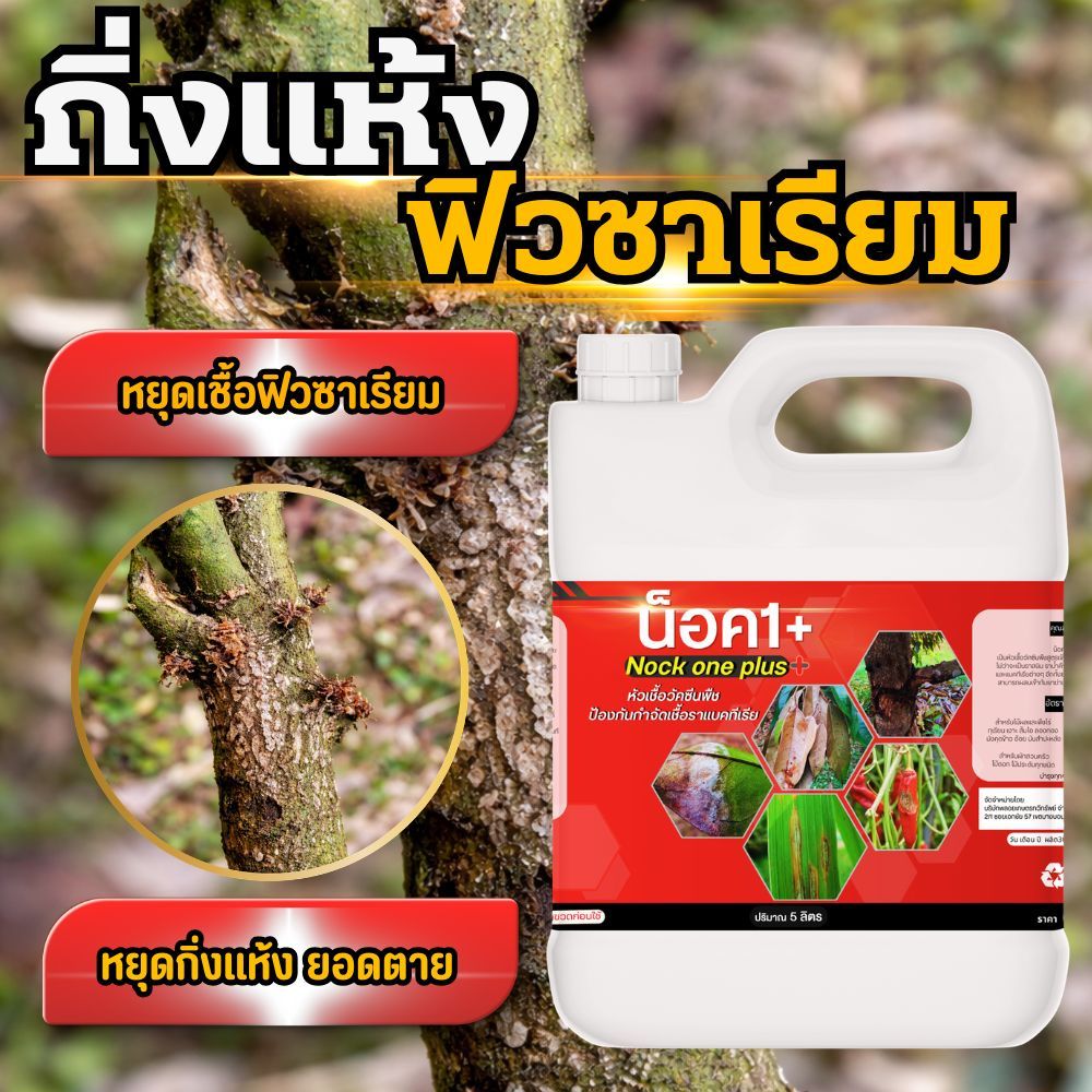 หยุดฟิวซาเรียม หยุดเชื้อรา ไวรัส แบคทีเรีย กิ่งแห้ง ต้นโทรม รากพัง จบปัญหาด้วยน็อควันพลัส