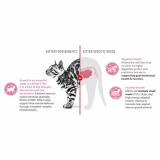 Royal Canin Gastrointestinal Kitten 400 กรัม อาหารสำหรับลูกแมว โรคทางเดินอาหาร ท้องเสีย