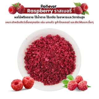Raspberry ราสเบอรร์รี ฟรีซดราย ไร้น้ำตาล ไร้เกลือ อาหารนกแก้ว และสัตว์ฟันแทะทุกชนิด (กระปุก 20G)