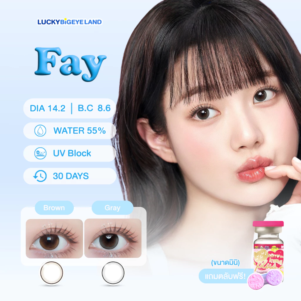 คอนแทคเลนส์ Fay Brown / Gray (Kitty Kawaii) ขนาดมินิ 💙