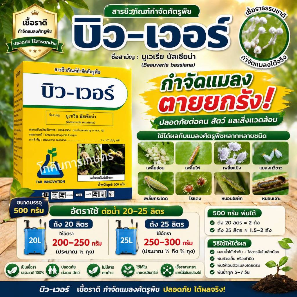 สารชีวภัณฑ์กำจัดศัตรูพืช บิว-เวอร์ (บูเวเรีย บัสเซียน่า) ขนาด 500 กรัม