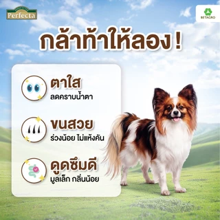 Perfecta อาหารสุนัข เกรดพรีเมี่ยม สุนัขโต พันธุ์เล็ก 1 ปี ขึ้นไป สูตรเนื้อ เนื้อสดแท้ Human grade ขนาด 7.5 กก.