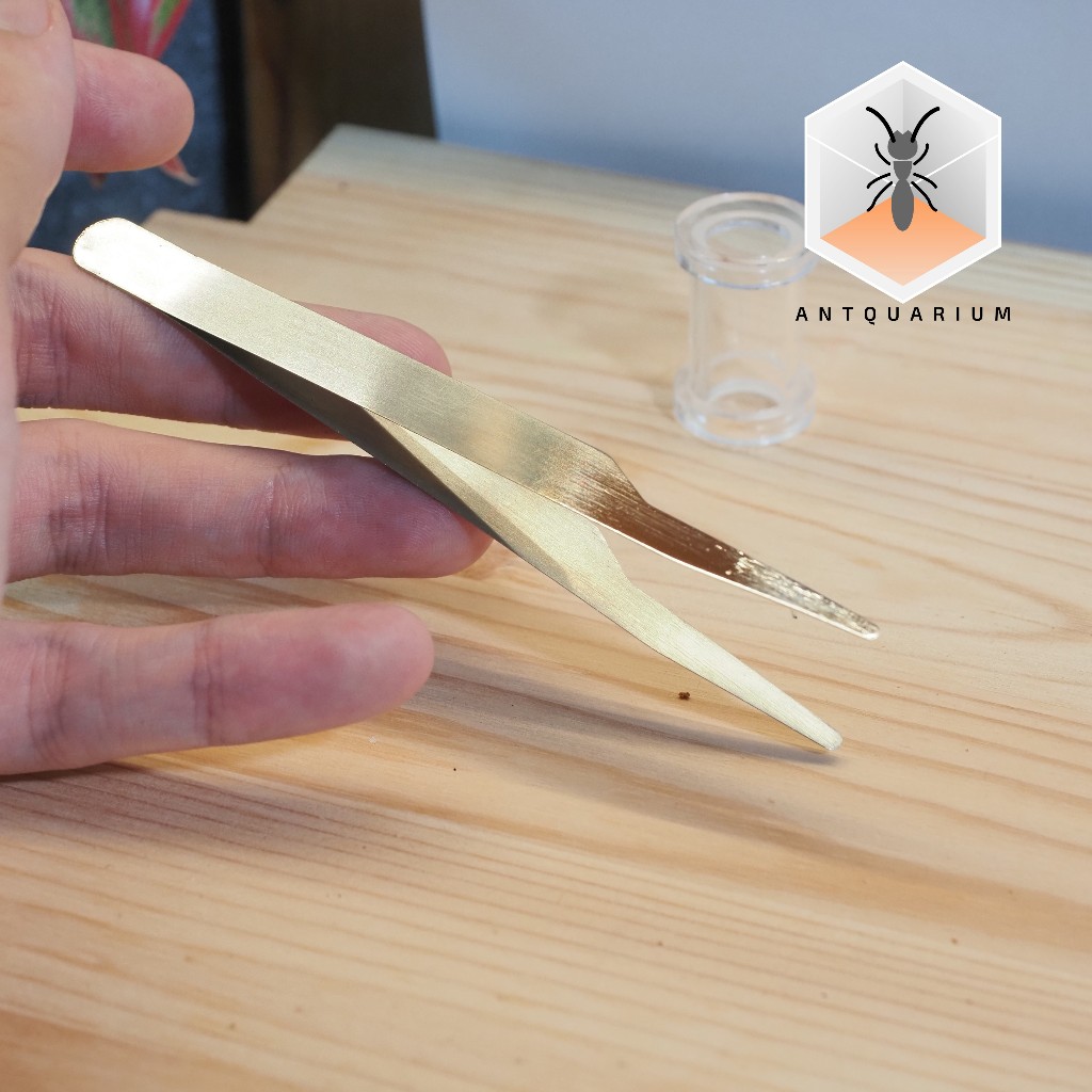 Antquarium - Soft Insect Tweezers ที่คีบมดและแมลง