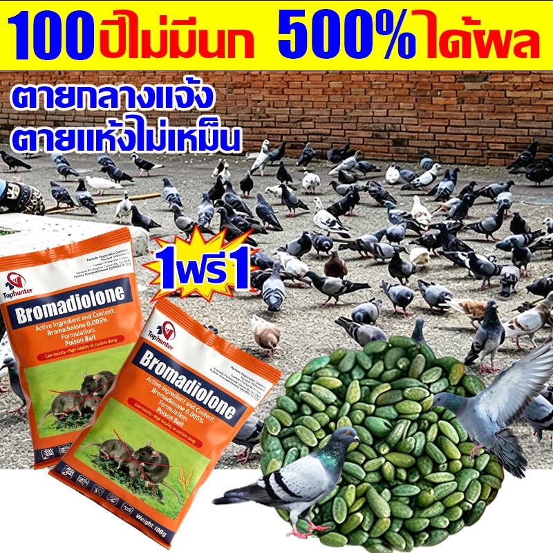 บอกลาขี้นกที่กวนใจ ยาเบื่อ นกพิราบ ยาฆ่านกพิราบ ทำลายอวัยวะภายในตายใน 1วัน แห้งเร็วและไม่มีกลิ่น เหยื่อกำจัดนกพิราบ